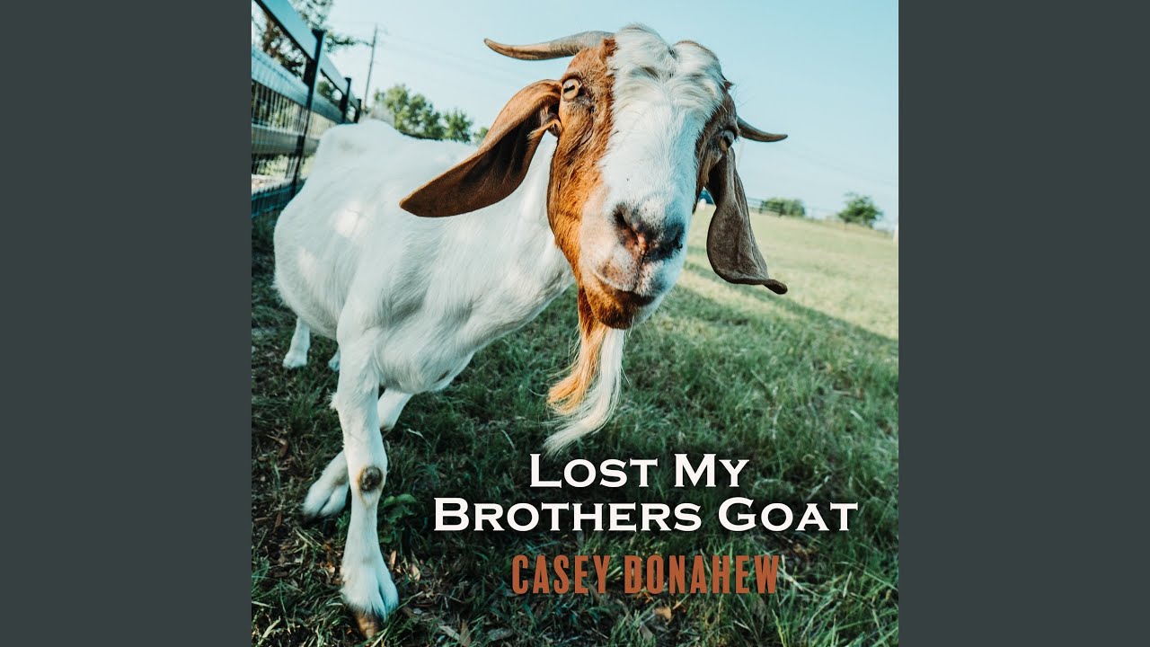 Starts in a Bar (Live Acoustic)