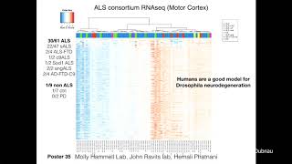 CSHL Keynote, Dr. Josh Dubnau, Stony Brook School of Medicine