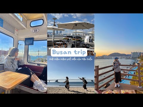 Video: Những điều phải làm hàng đầu ở Busan, Hàn Quốc