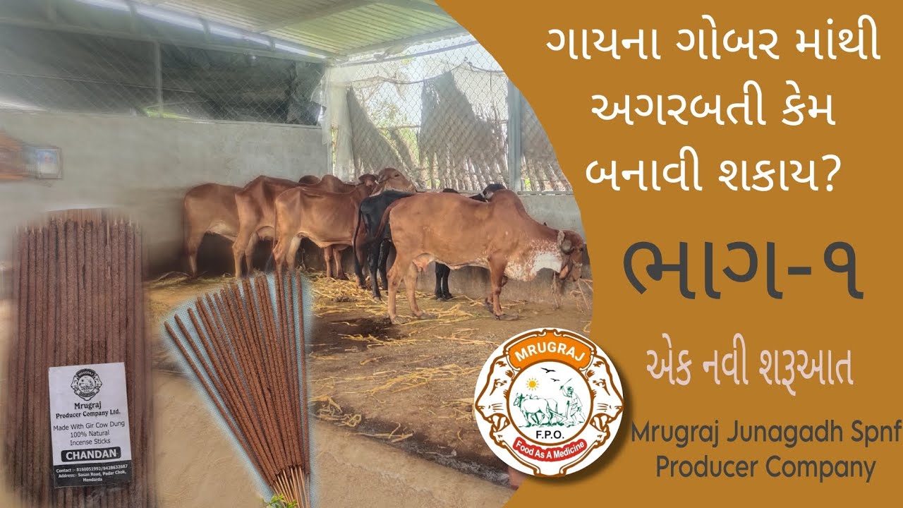 | ગાય ના ગોબર માંથી પણ અગરબત્તી બને ખરી? | ગૌપાલન સાથે સારી એવી આવક | પ્રોડક્ટ્સ ભાગ ૧ | MRUGRAJFPO