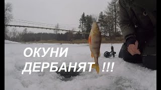 74 Весенний Жор Окуней. Завершаем Зимний Сезон Заключительные Рыбалки//Fishing Bass