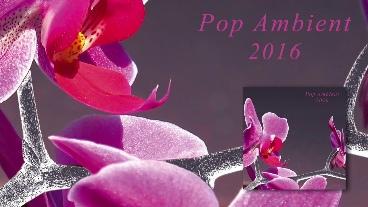 The Orb - Alpine Dawn 'Pop Ambient 2016' Album