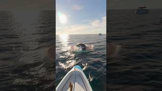 Insane close up footage of a UFO emerging from the ocean! Brand new! Mass sighting!