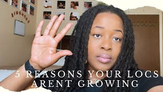 Why Your Locs Aren't Growing (You're Probably Doing This | Sofineee #locs #hair #growth #hairstyle