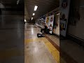 موسيقي صاخبة في مترو اسطنبول في تركيا Shorts
