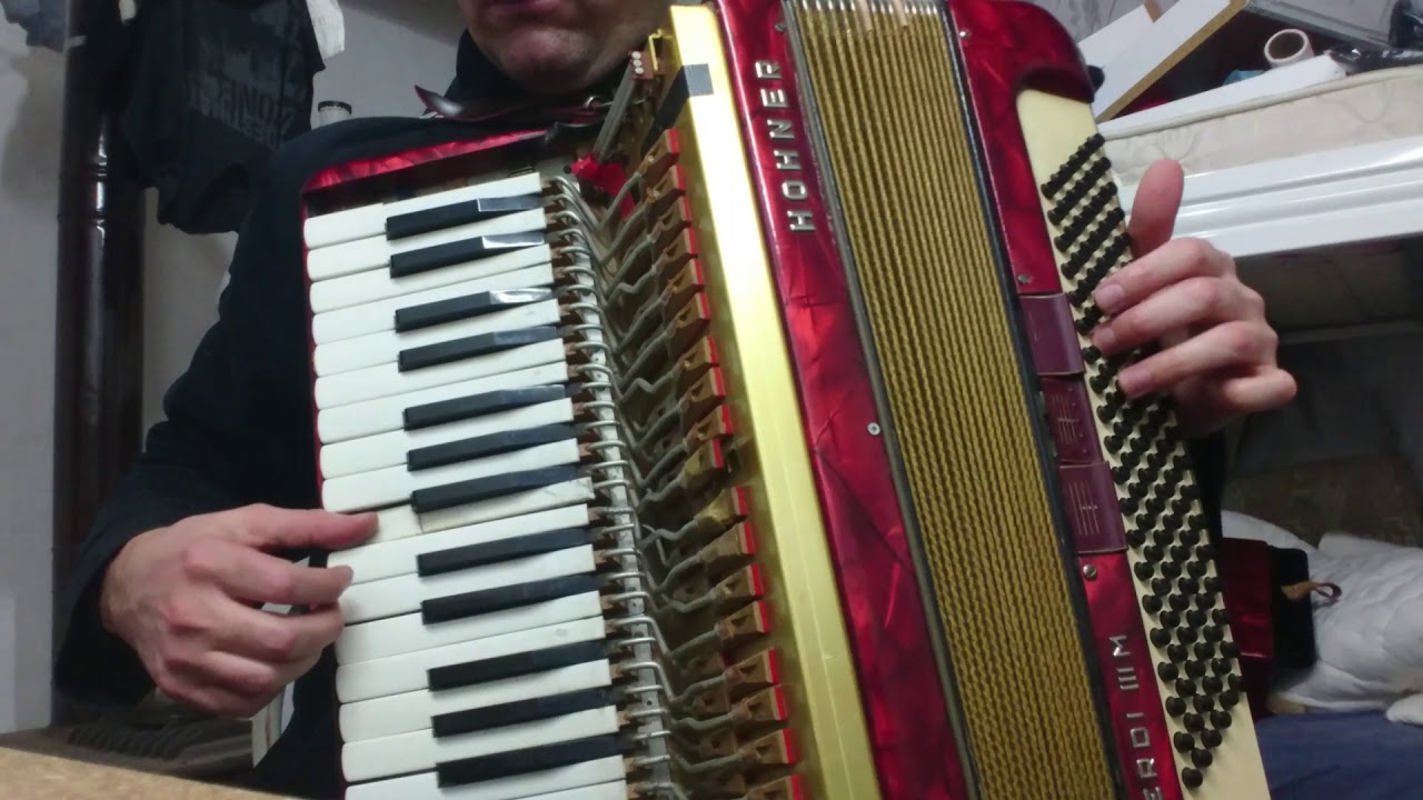 Adige çeçen pşinawa akordeon-2