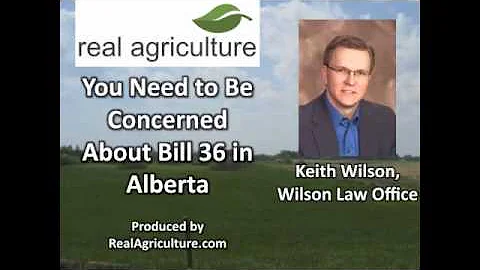 You Need to Be Concerned About Bill 36 in Alberta ...