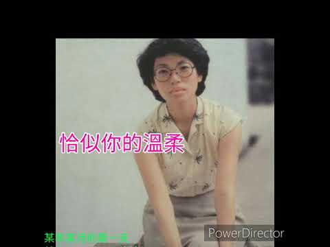 恰似你的溫柔 蔡琴 0048