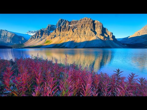 حنين الروح إلى العالم العلوي الذي أهبطت منه الشيخ البوطي 