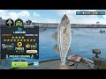 BIG CATCH 🪝 : HUGE 14 STAR LINESIDER LEGENDARY FISH 🐟🐠 / ST.LAWRENCE RIVER / FISHING CLASH GAMEPLAY🎣