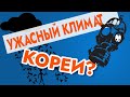 12 причин ненавидеть климат Кореи [ХУДШИЙ МЕСЯЦ?]