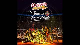 Los Caligaris - Camello (AUDIO)