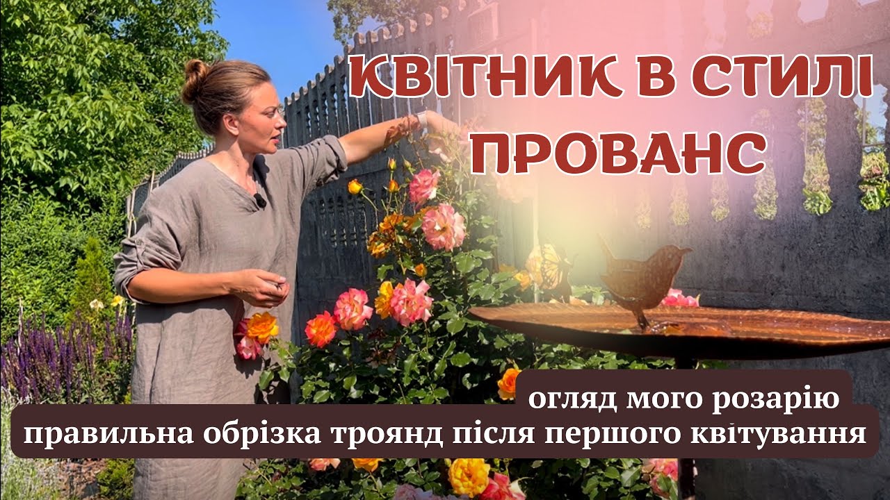 КВІТНИК В СТИЛІ ПРОВАНС🌸просто, гарно і постійним квітуванням💫 #сад #квітник #garden