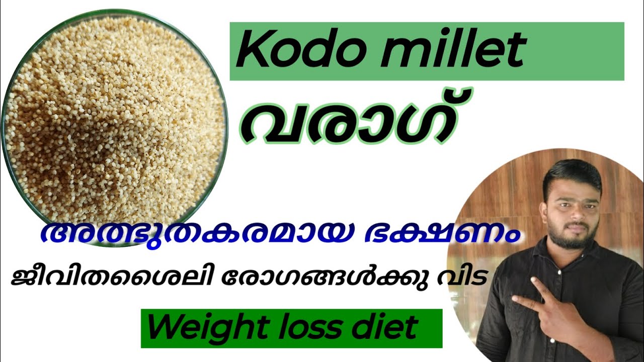 Kodo milletവരാഗ്അത്ഭുതകരമായ ഭക്ഷണം ജീവിത ശൈലി രോഗങ്ങളോട് വിടപറയു