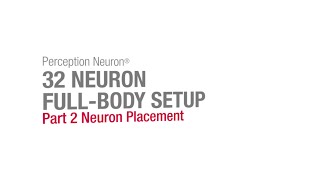 Famous 32 Neuron Full Body Setup Part 2 - Neuron Placement Profile