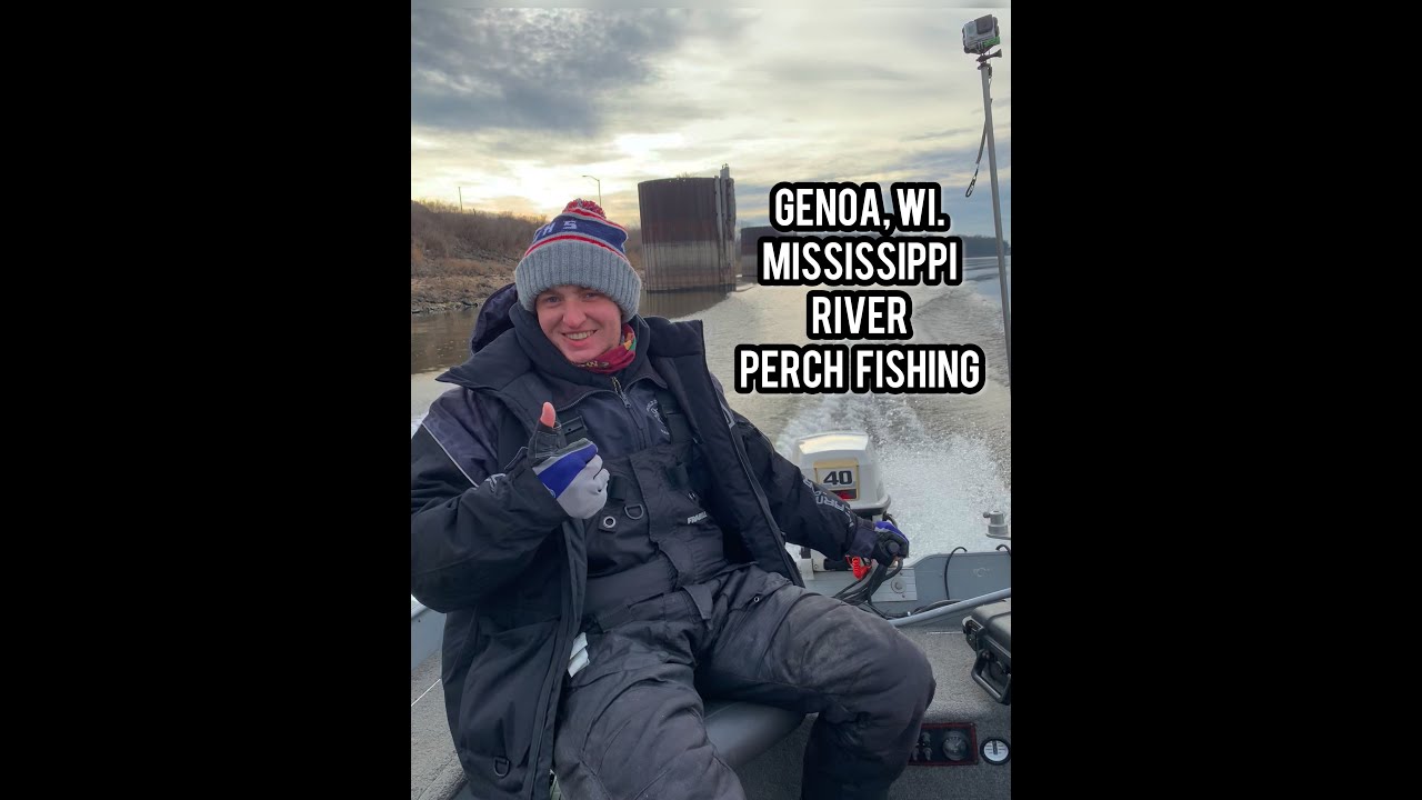 Mississippi River Perch Fishing