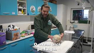 Fulga e o visătoare. Și nu visează la orice.