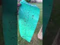 Astuce écologique et naturelle merci qui?!