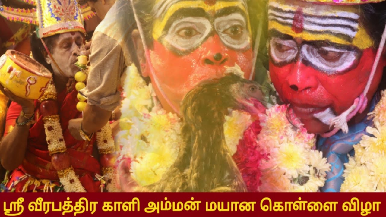 ஸ்ரீ சக்தி வீரபத்ர காளி அம்மன் மயான கொள்ளை விழா #veerabhadra #kaliamman #Ayanavaram # Otteri