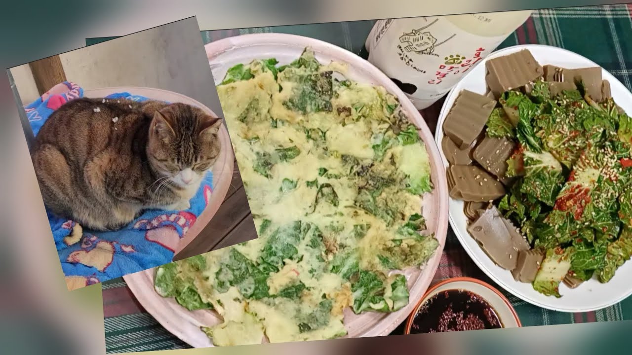 눈 내리던 날 마당냥이들 발자국이 넘 귀여워요♥️ 지난 주말엔 봄동전,  도토리묵&봄동무침에 남편과 막걸리 한잔 했답니다😊 새해 복 많이 받으세요🎉🍀