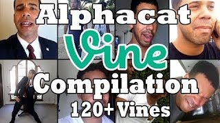 ✔✔   All Alphacat Vines 120  Ultimate Vine Compilation -VinesHD-    ✔✔