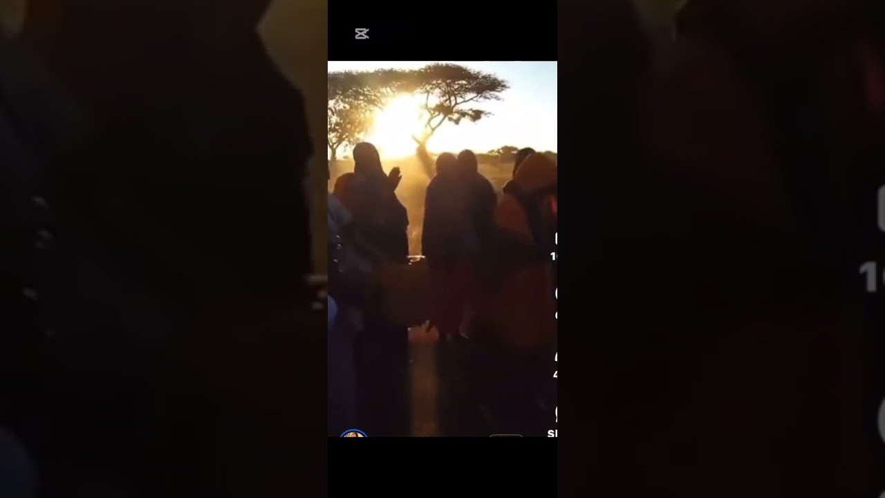 Jaandheertu waa ciyaaraha an ugu jeclahay ciyaraha Somalida 🇸🇴🇸🇴