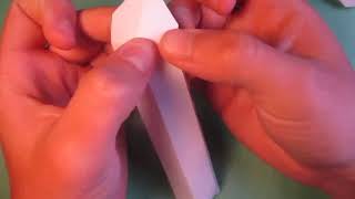 Origami Eel