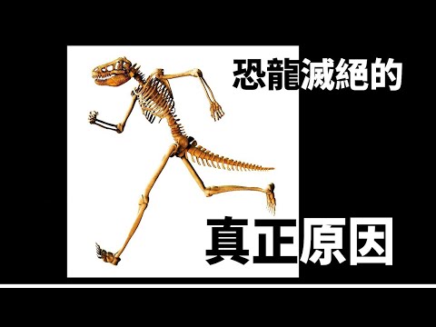 恐龍滅絕的真正原因