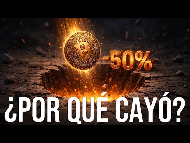 ¿Por qué Bitcoin ha llegado a caer un 50% en cuatro meses?