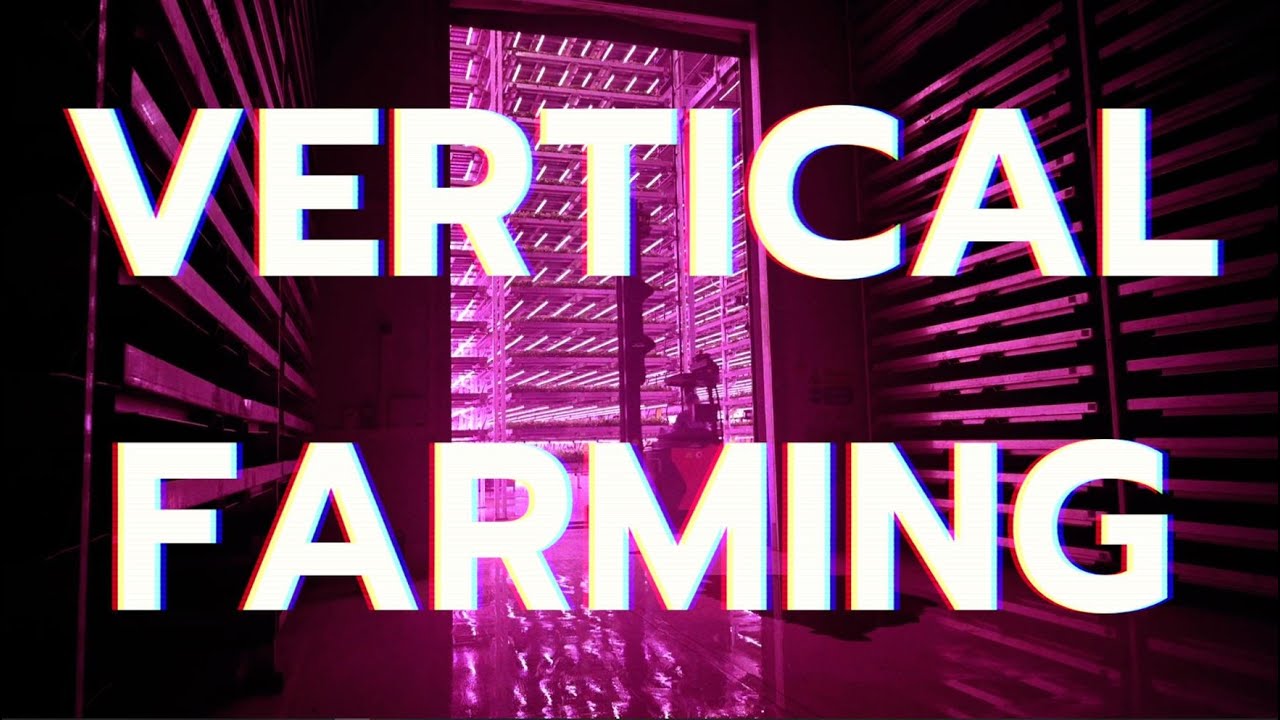 Growing Up: Is Vertical Farming the Future of food? - YouTube