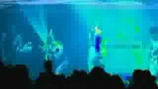 DANDY FREAKS - La petite route [TRIPLE FACE]