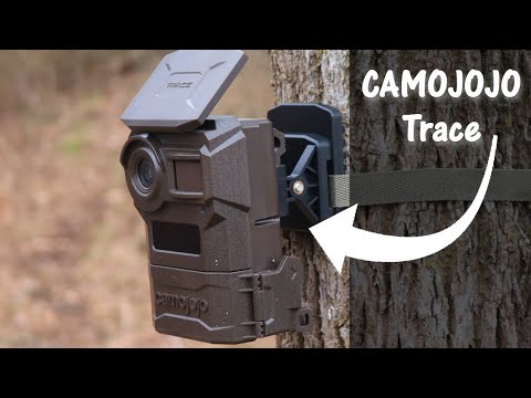 Camojojo Trace Live Stream Cellular Trail Camera Build-in 32GB SD Card: Field Test and Review