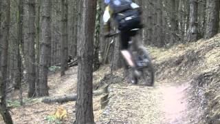 The Monkey Trail Cannock Chase
