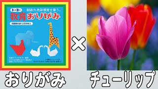 折り紙】簡単かわいいチューリップの簡単な作り方・折り方 春の折り紙