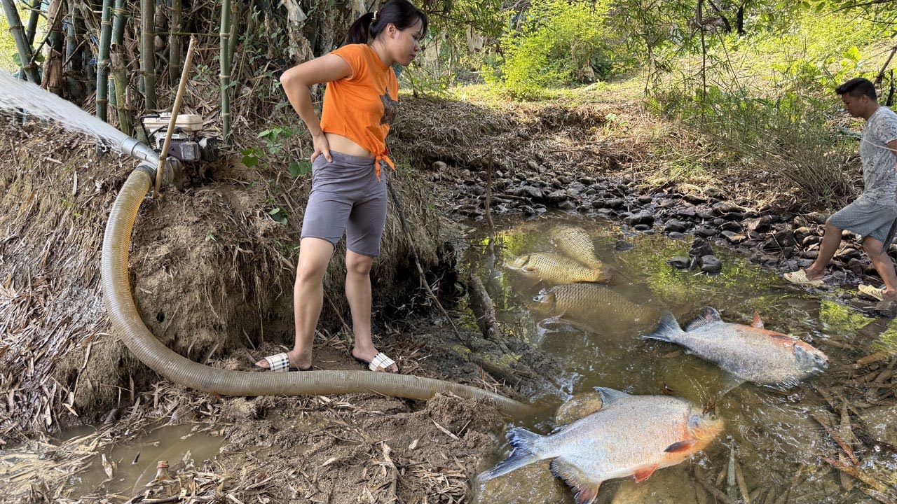 Surprised with so many fish living in the wild lake near the stream ...