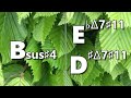 Bsus #4 to Ebmaj7#11 (D#maj7#11) Backing Track