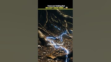 the hidden language of trees 😱 #shortfeed #shorts #facts #science #nature #viral