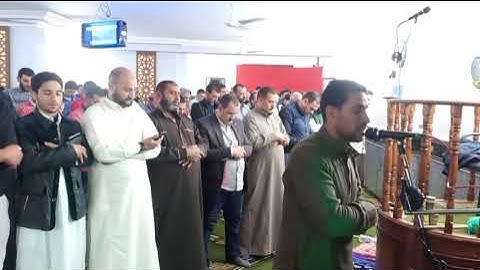 ما تيسر من سورة:/(الزمر )/:القاريء هاني يونس
