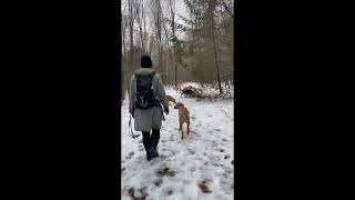 MILLBROOK PET CARE PACK WALKS (Pt.1)