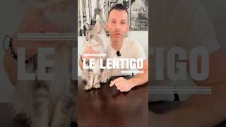 Le lentigo simplex #chat #cat #conseils