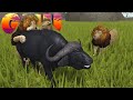 Leão DOMINADOR Lutando por Comida!!! | Wild Savannah Gameplay 58