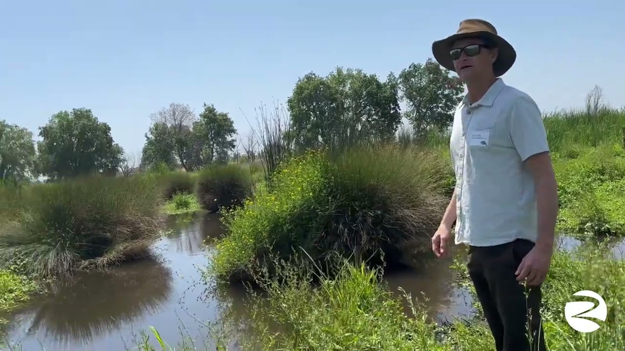 Beaver habitat with US Fish and Wildlife