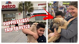 I Took My Puppy To PETCO For The First Time 😍 by Tawny Antle 7,041 views 3 years ago 13 minutes, 55 seconds