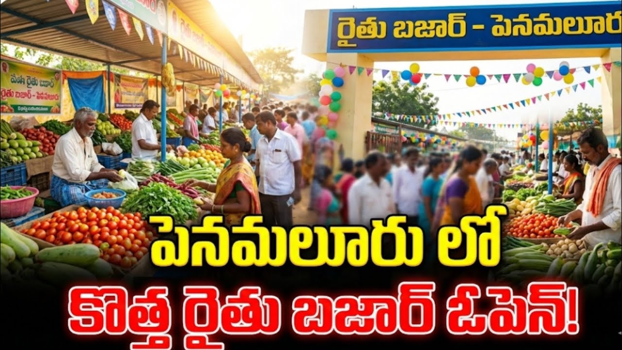పెనమలూరు ప్రజలకు శుభవార్త 🤩 | కొత్తగా ఓపెన్ అయిన రైతుబజార్ | తాజా కూరగాయలు🍅🫑🫛