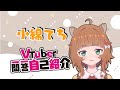 【自己紹介】Vtuber一問一答自己紹介【小綿てち/新人Vtuber】