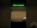Which is illusion? #minecraft #shorts