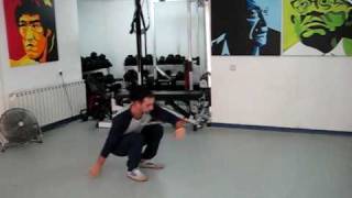 Eccentric Pistol + Side Push Up Beginner