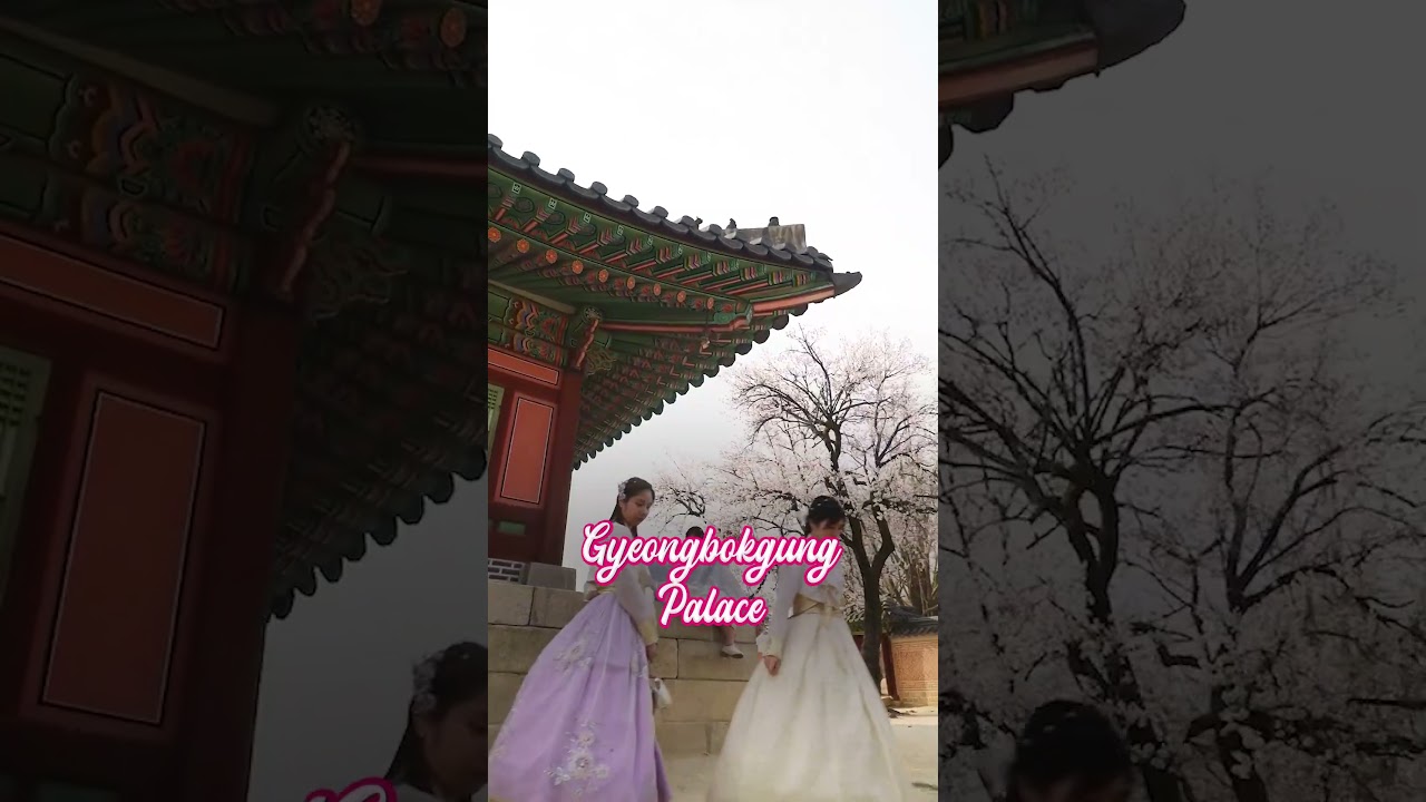 Cherry Blossom in Seoul 🌸 | A Romantic Spring Escape for Couples 💕