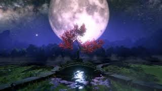 Hypnotic Moonlight – 1 Hour of Deep Sleep Music with  No Ads.