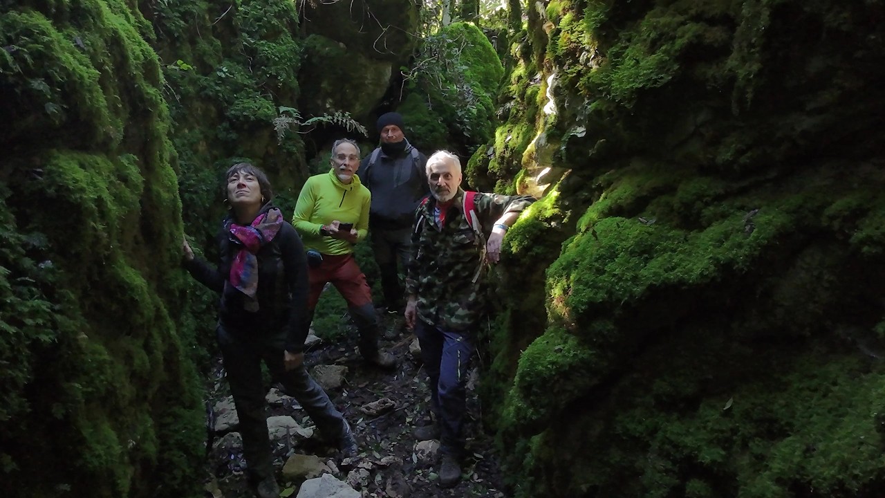 La piccola compagnia di Aglisotto e Costalunga #forest #escursioni  #hiking  #mountains #trekking